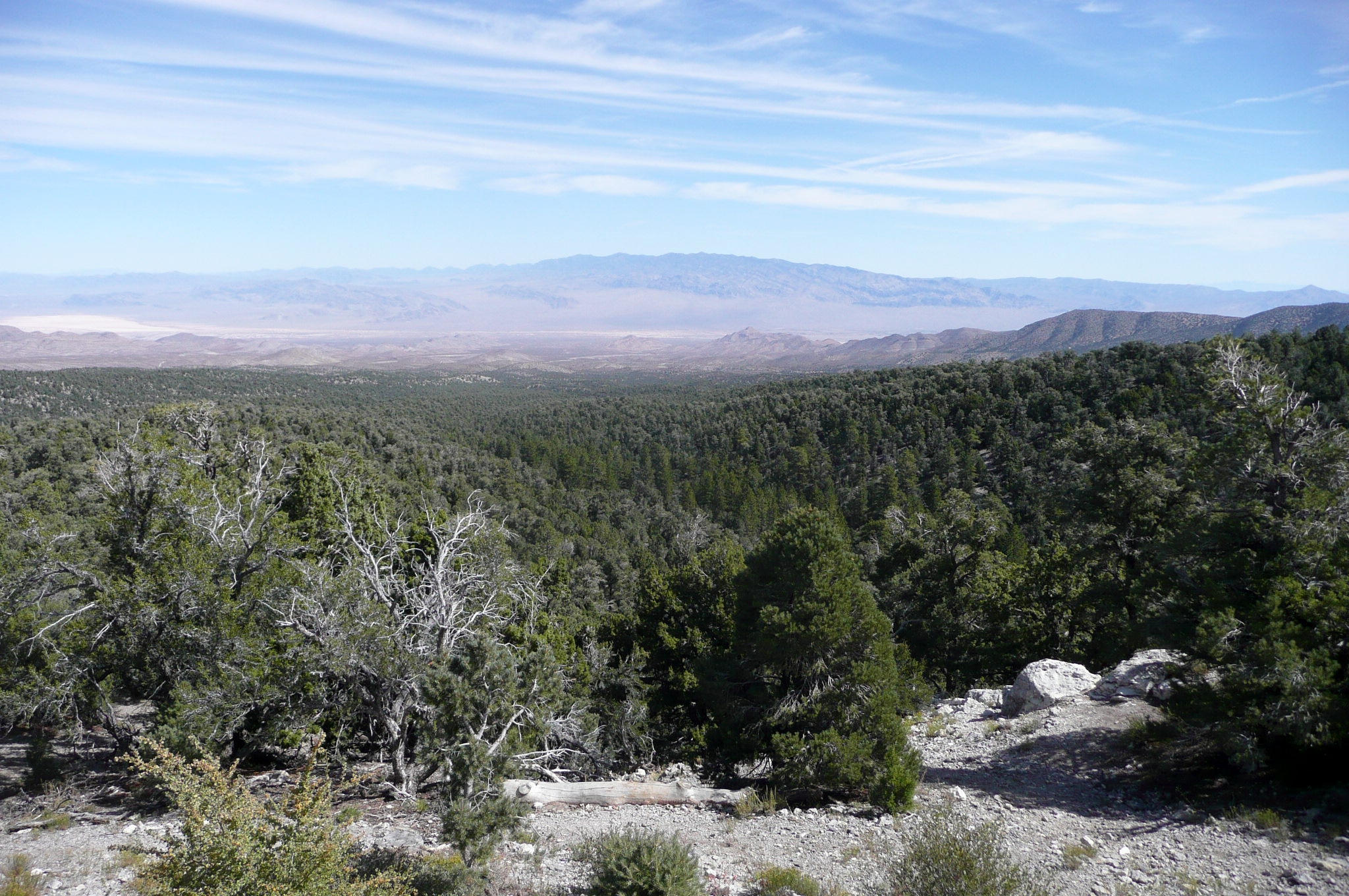 Mt Charleston and Lee Canyon area is connected by Hwy 158